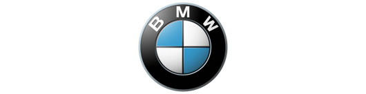 BMW Logo